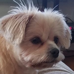 Meet your Posher, Lori